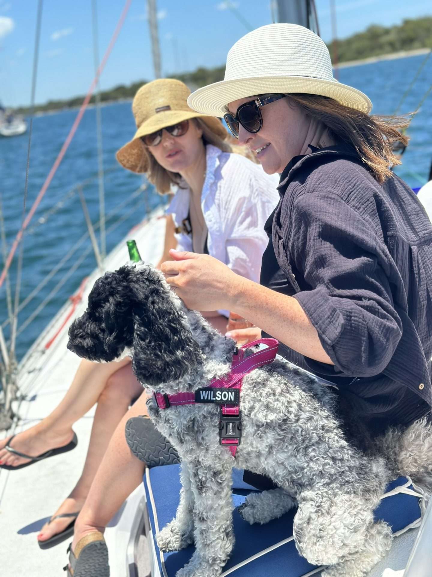 Sun Sailing Gold Coast gallery image 4